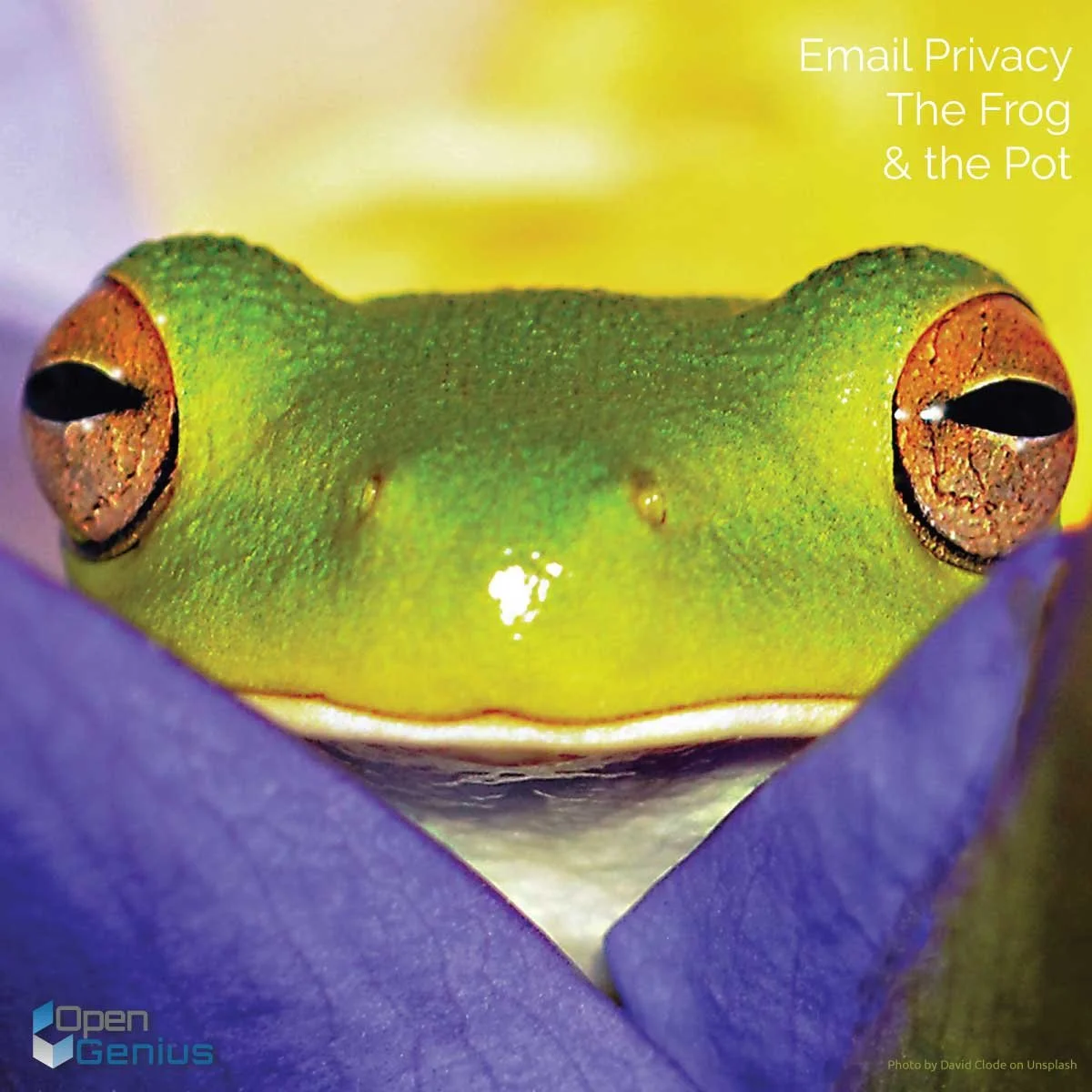 Email Privacy and The Frog in the Pot